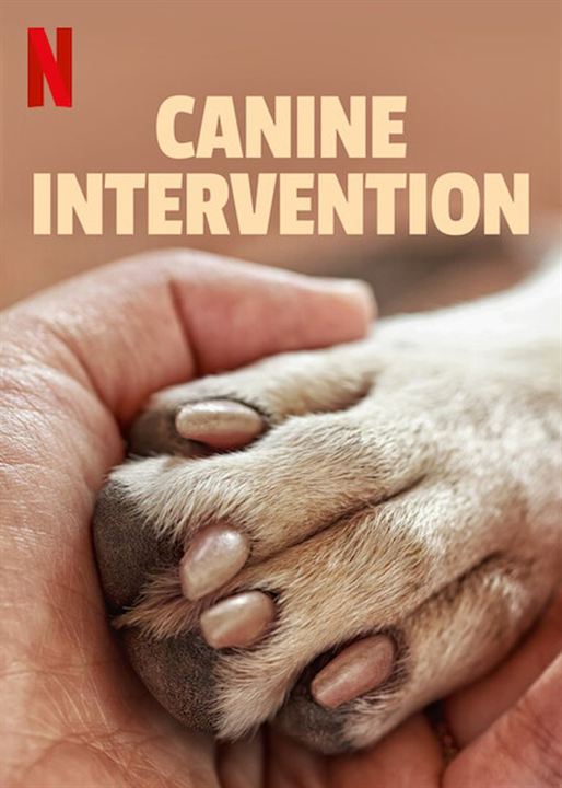 Terapia canina : Cartel