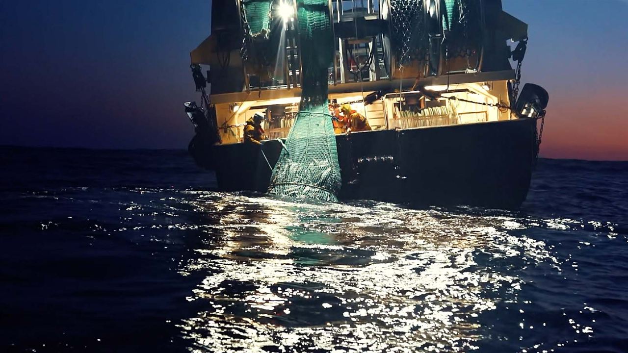 Seaspiracy: La pesca insostenible : Foto