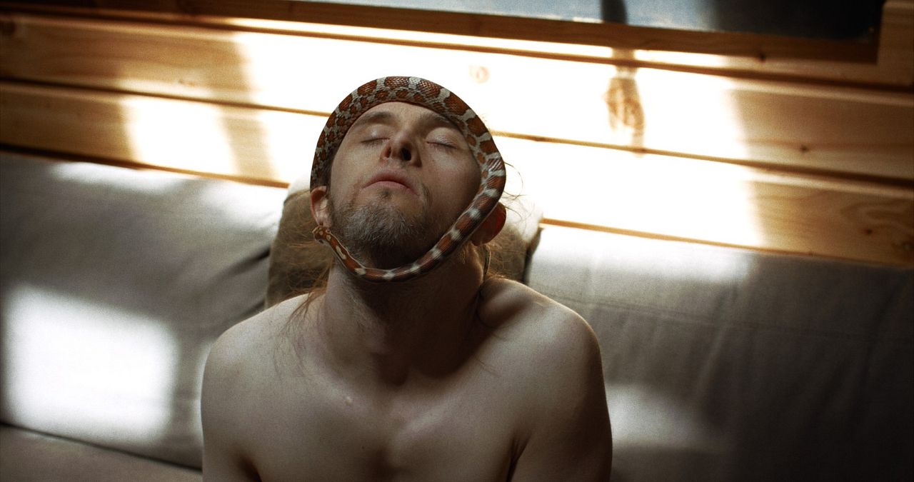 Théo y las metamorfosis : Foto