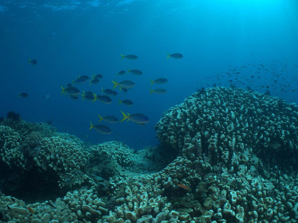 Emociones de la Tierra : Foto