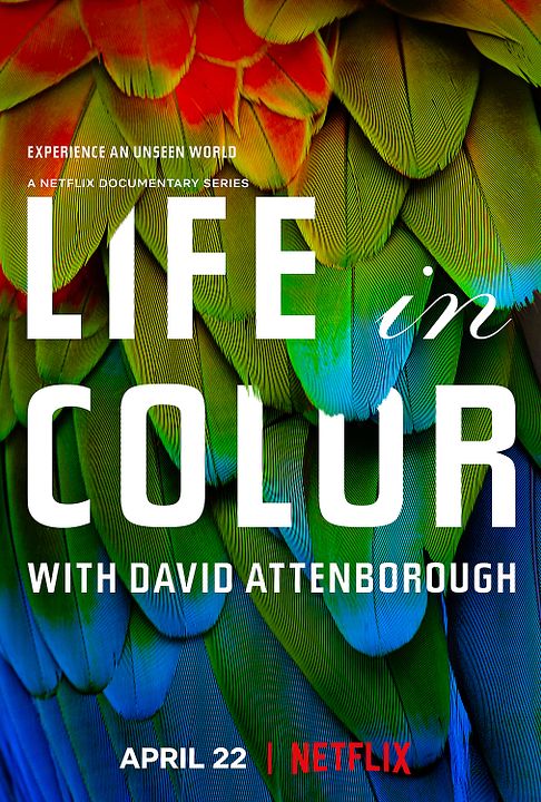 La vida a todo color, con David Attenborough : Cartel