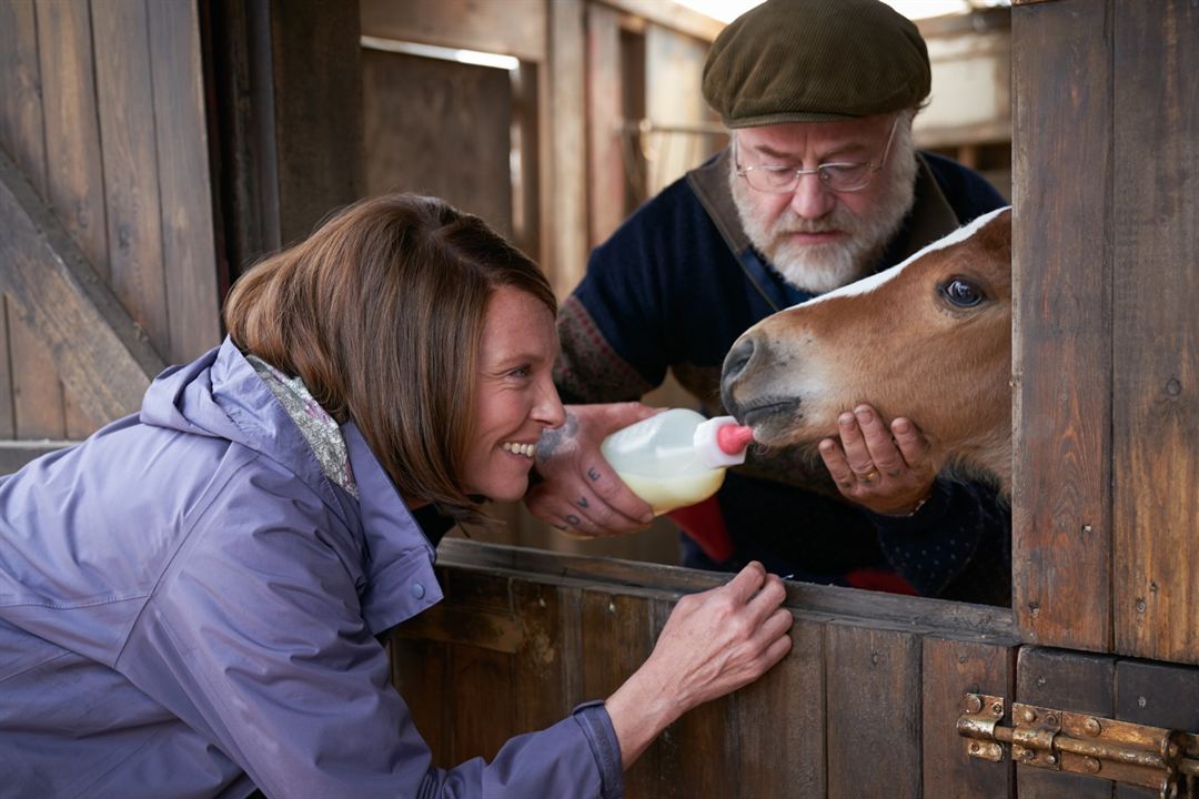 Caballo soñador : Foto Owen Teale, Toni Collette