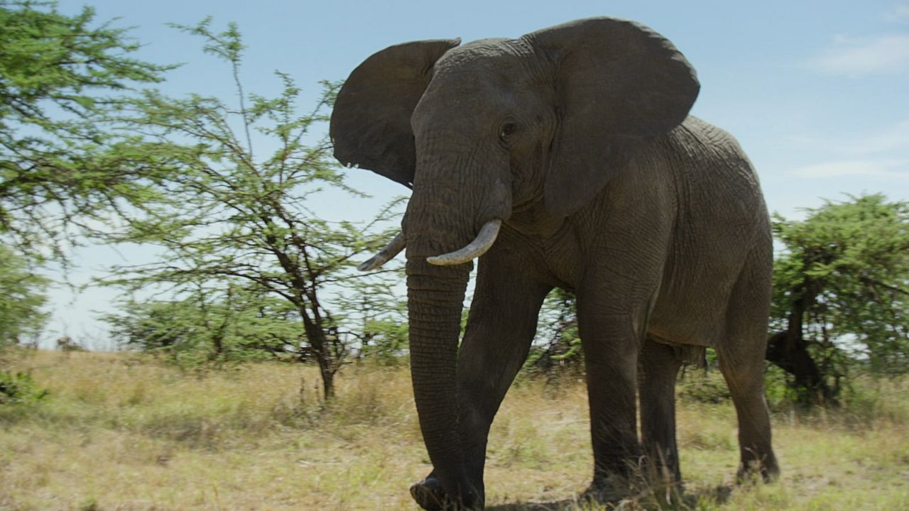 Los límites de nuestro planeta: Una mirada científica : Foto