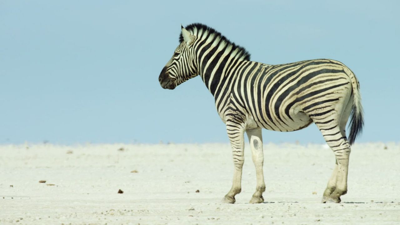 Los límites de nuestro planeta: Una mirada científica : Foto