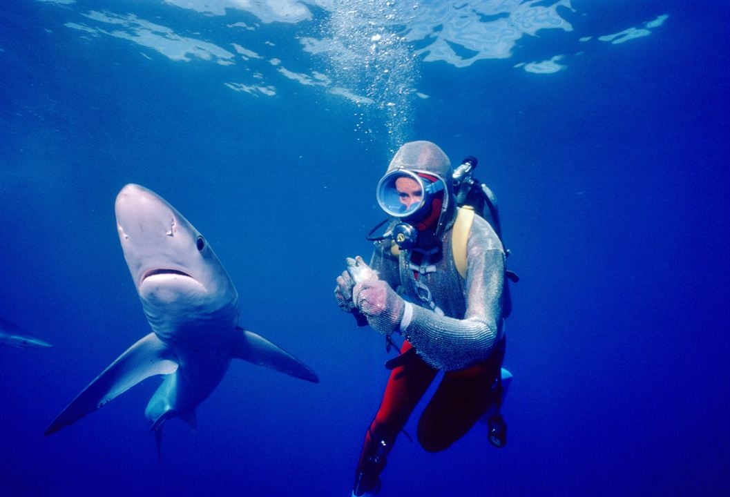 Jugando con tiburones : Foto Valerie Taylor