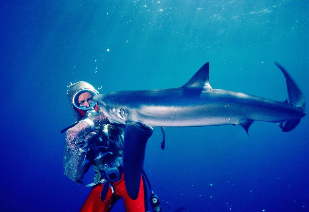 Jugando con tiburones : Foto Valerie Taylor