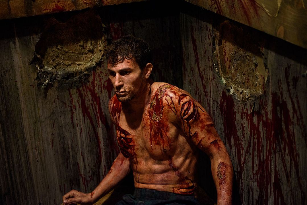 Foto Daniel Schutzmann