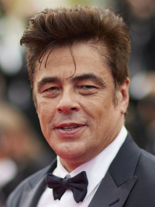 Cartel Benicio Del Toro