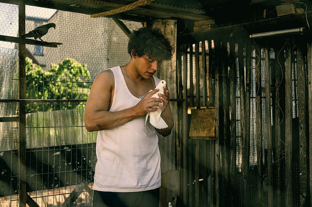 Foto Malik Blumenthal