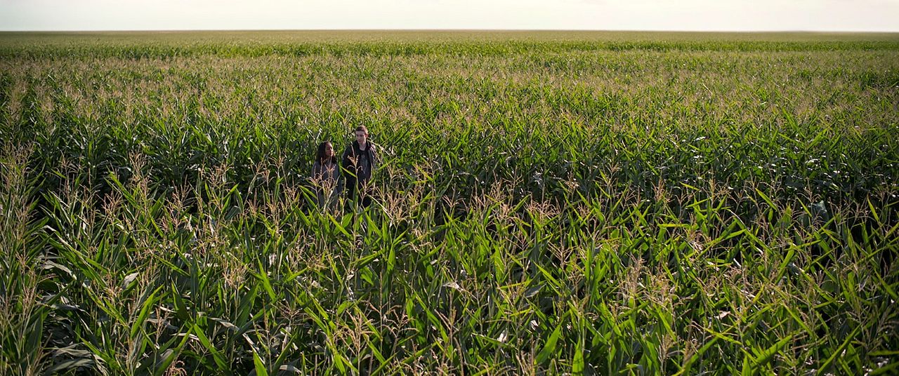 Hay alguien en tu casa : Foto