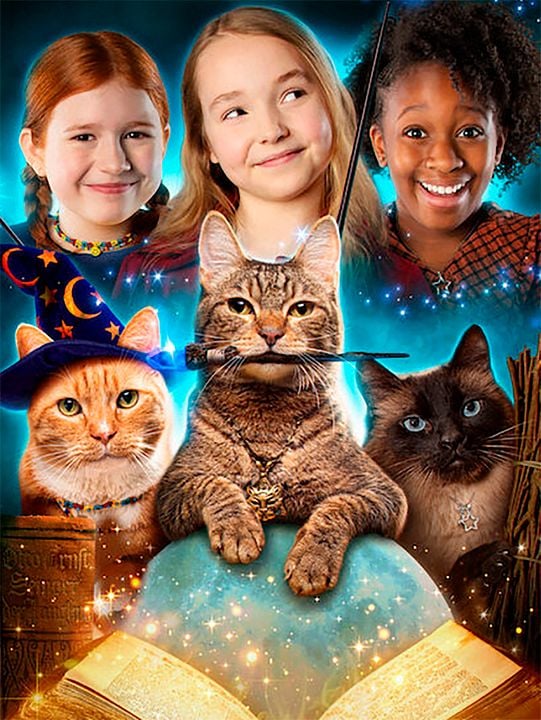 Gatas miedicas : Cartel