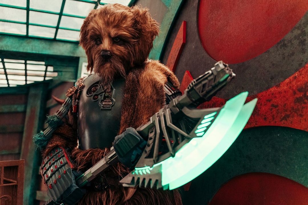 Doctor Who (2005) : Foto