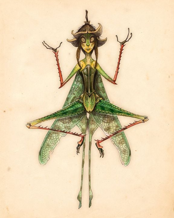 The Spiderwick Chronicles : Foto