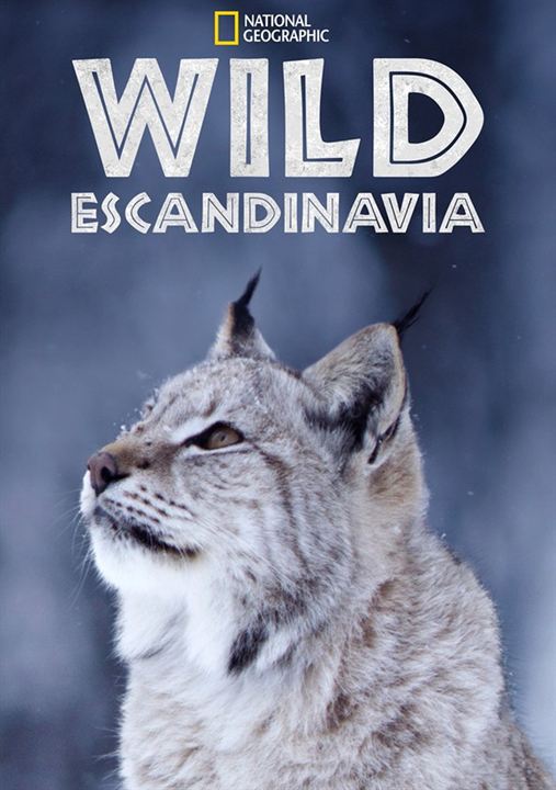 Wild Escandinavia : Cartel