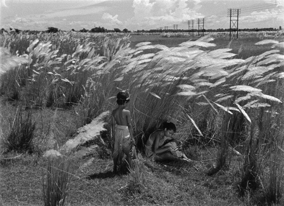 Pather Panchali (La canción del camino) : Foto