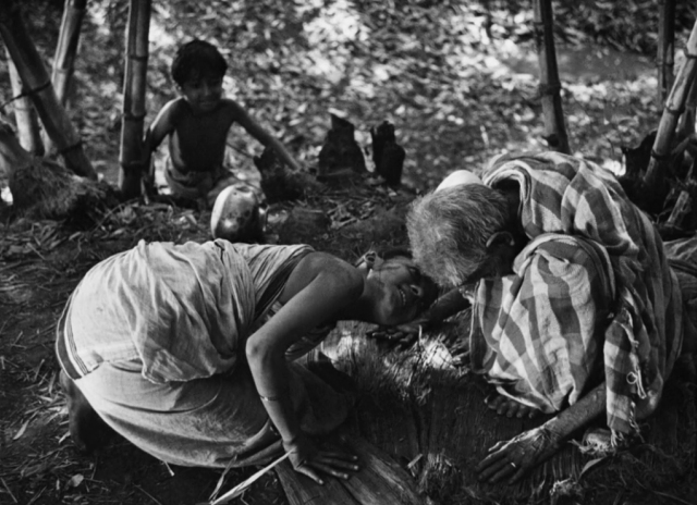 Pather Panchali (La canción del camino) : Foto