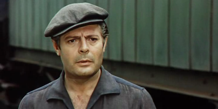 Los girasoles : Foto