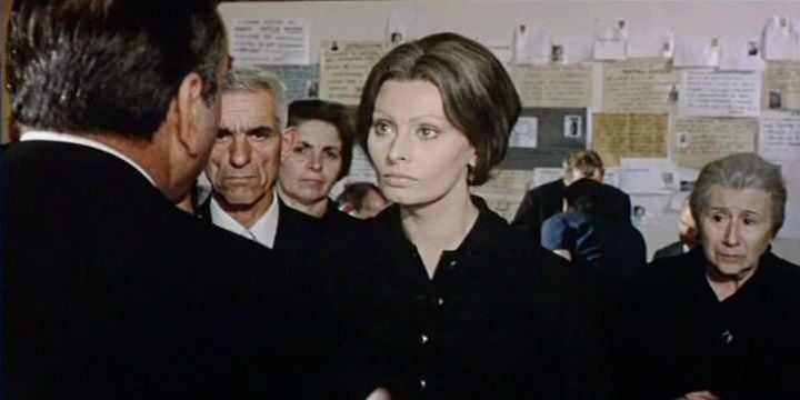 Los girasoles : Foto