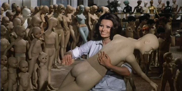 Los girasoles : Foto