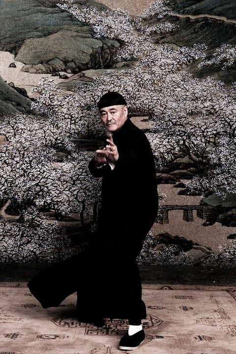 The Grandmaster : Foto