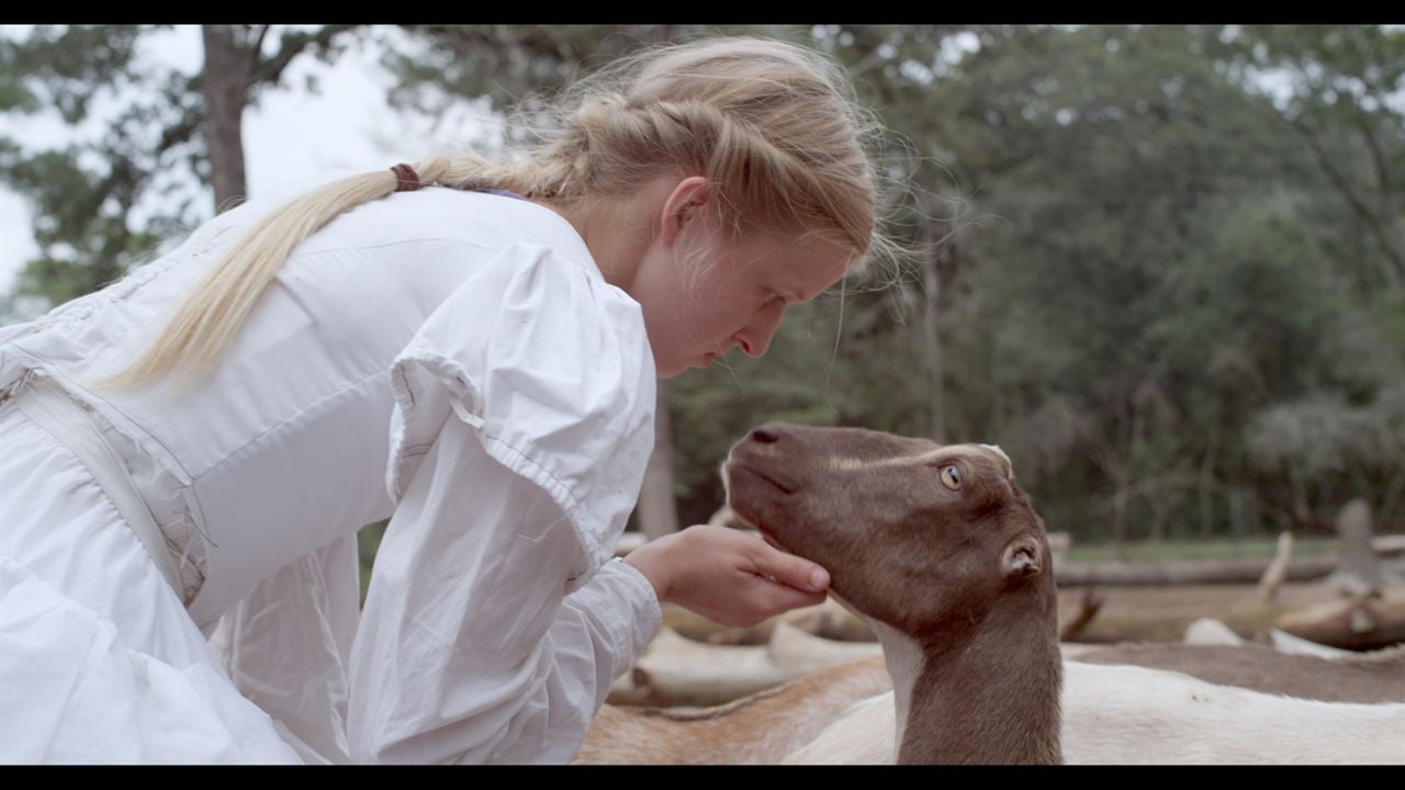 Stop the Pounding Heart : Foto Sara Carlson