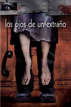 Los ojos de un extraño : Cartel