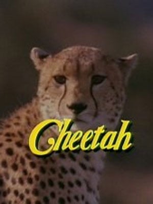 Cheetah, una aventura en la selva : Cartel