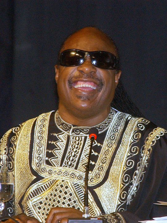 Cartel Stevie Wonder