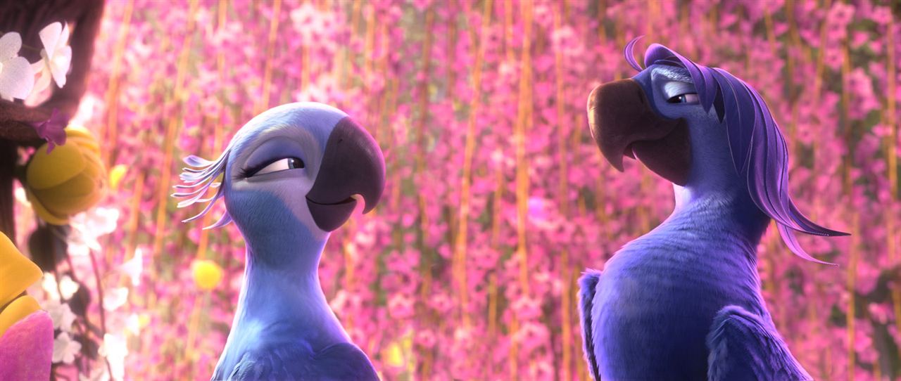 Rio 2 : Foto