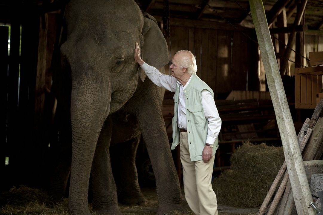 El abuelo que saltó por la ventana y se largó : Foto Robert Gustafsson