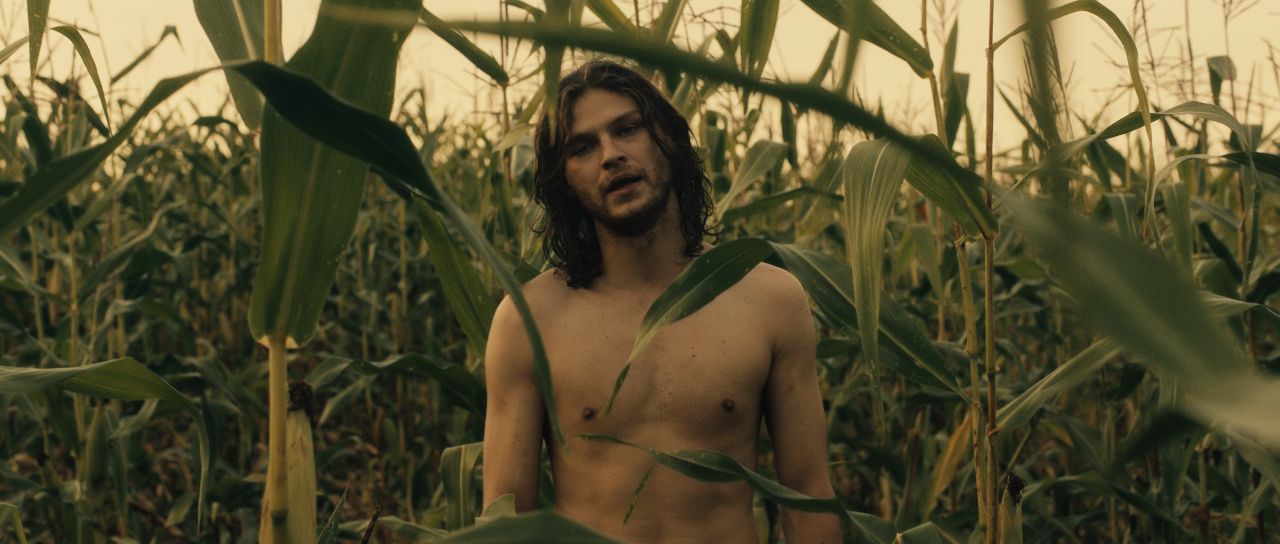 Amarás al prójimo : Foto