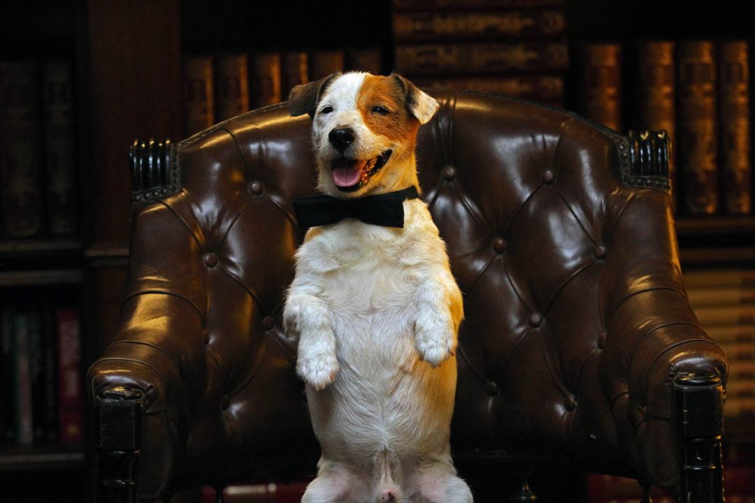 Pancho, el perro millonario : Foto