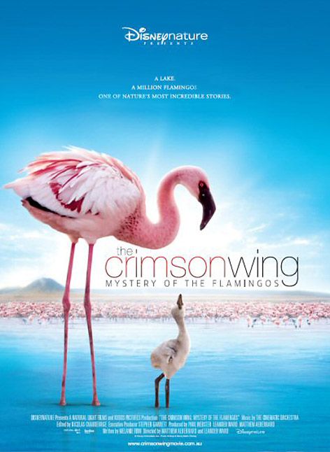 Disneynature. Crimson Wing : Cartel