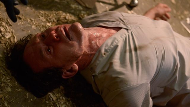 Helix : Foto Neil Napier