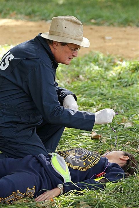 NAVY: Investigación criminal : Foto David McCallum