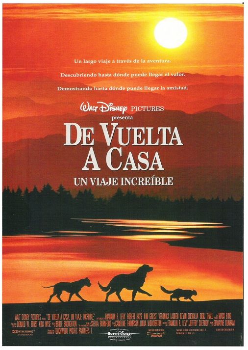 De vuelta a casa. Un viaje increíble : Cartel