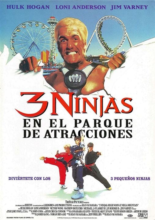 3 Ninjas en el parque de atracciones : Cartel