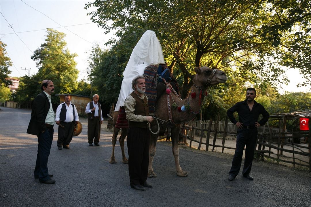 Düğün Dernek : Foto Şinasi Yurtsever, Murat Cemcir, Ahmet Kural