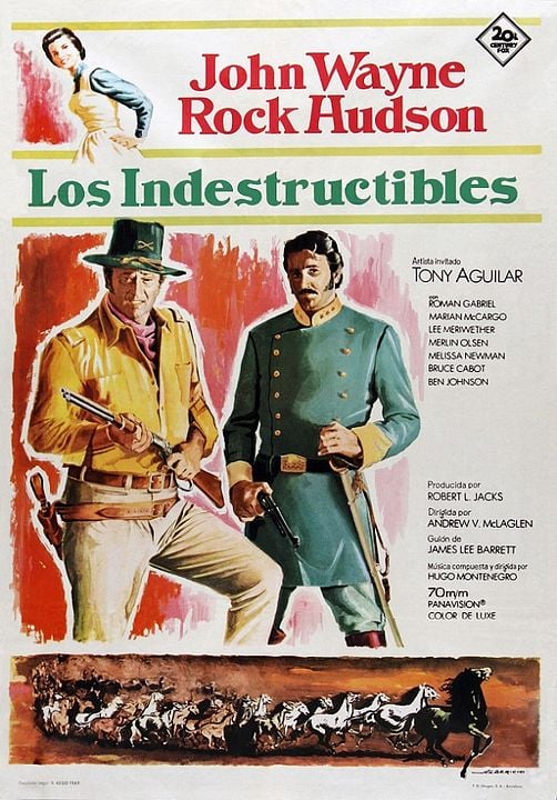 Los indestructibles : Cartel
