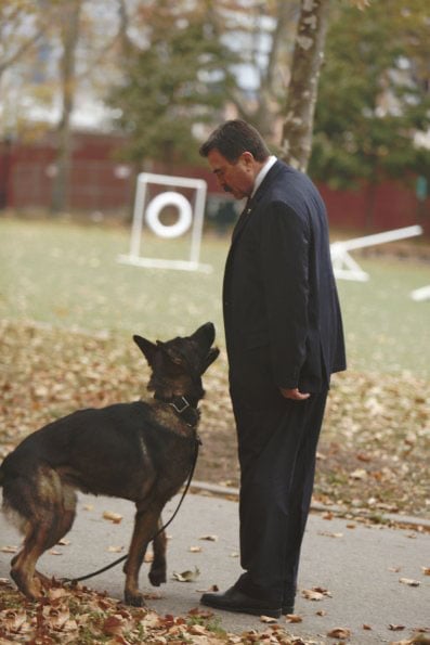 Blue Bloods (Familia de policías) : Foto Tom Selleck