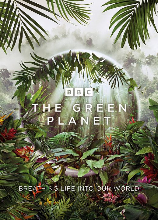 Planeta verde : Cartel