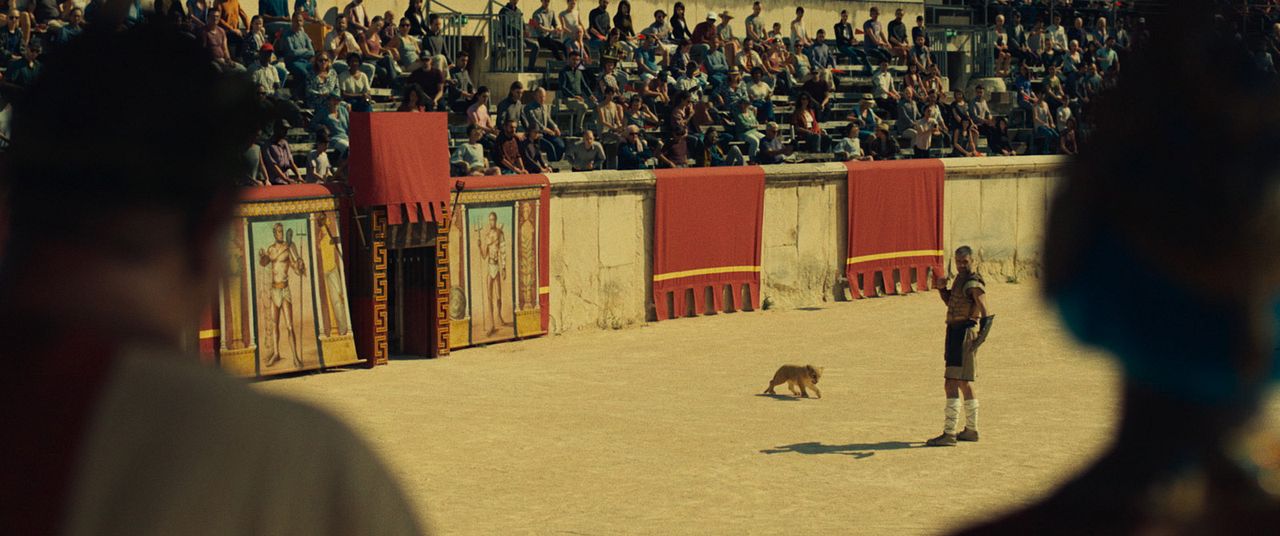 King, mi pequeño rey : Foto