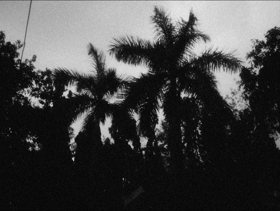 Una noche sin saber nada : Foto