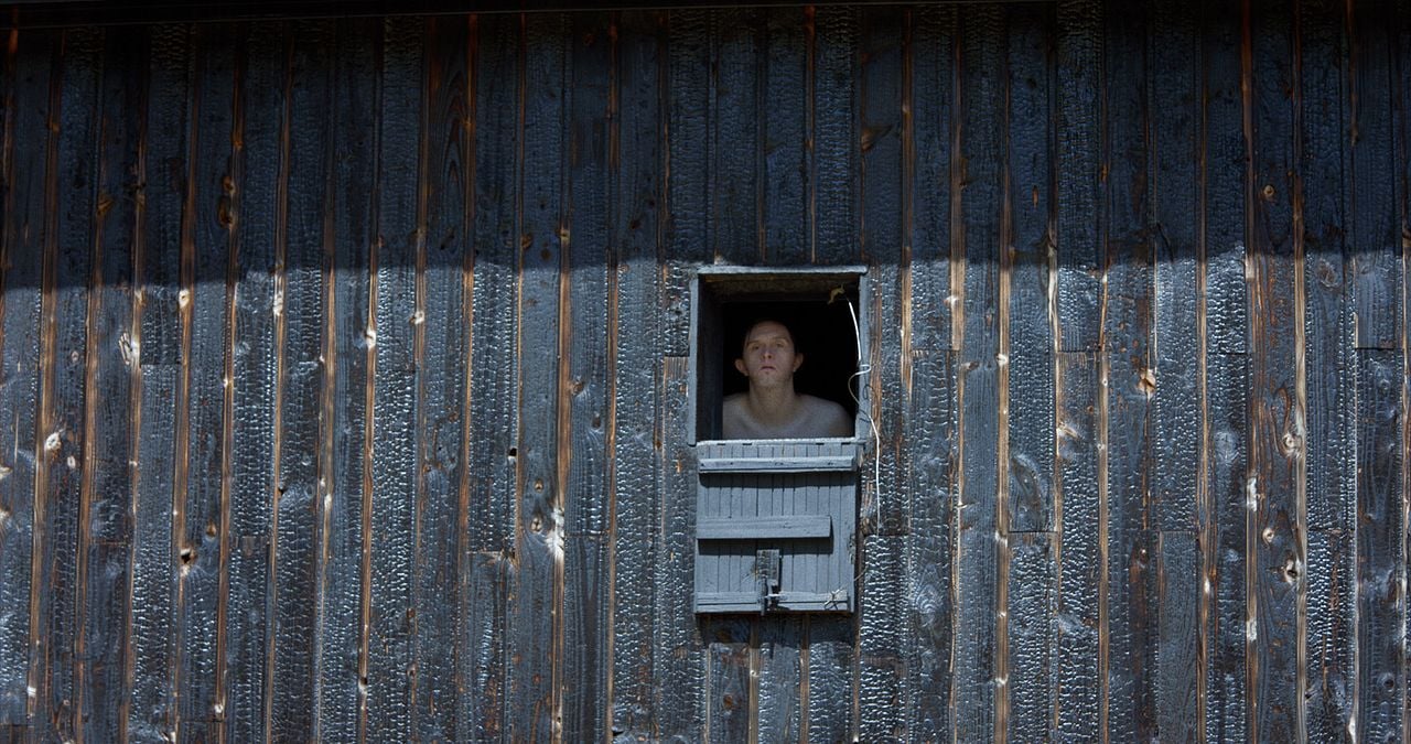 Théo y las metamorfosis : Foto