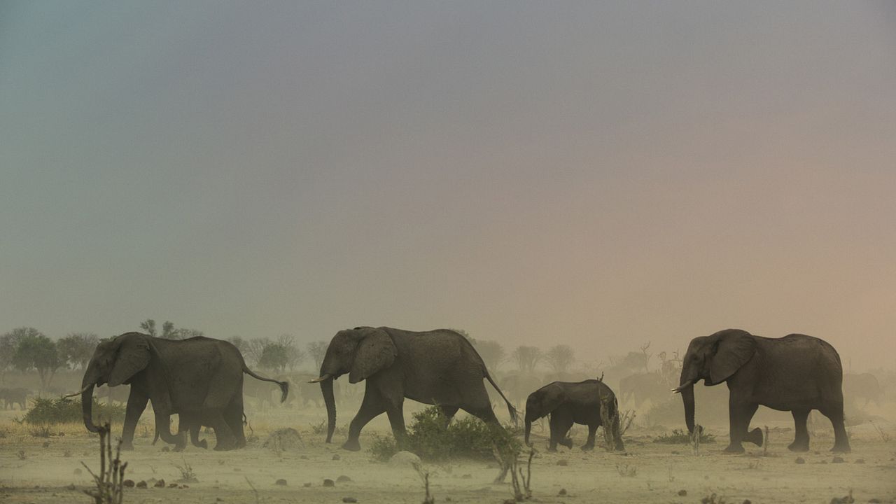 El paraíso que sobrevive: un legado familiar : Foto