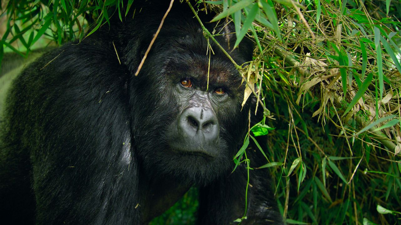 Parques Nacionales majestuosos : Foto