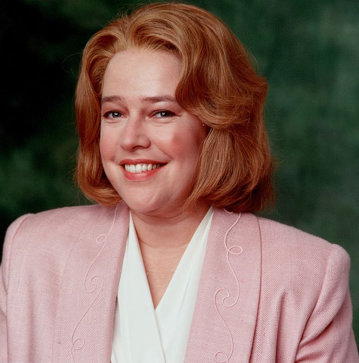 Tomates verdes fritos : Foto