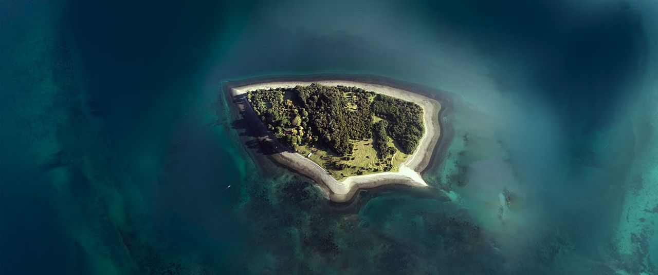 Algunas bestias : Foto