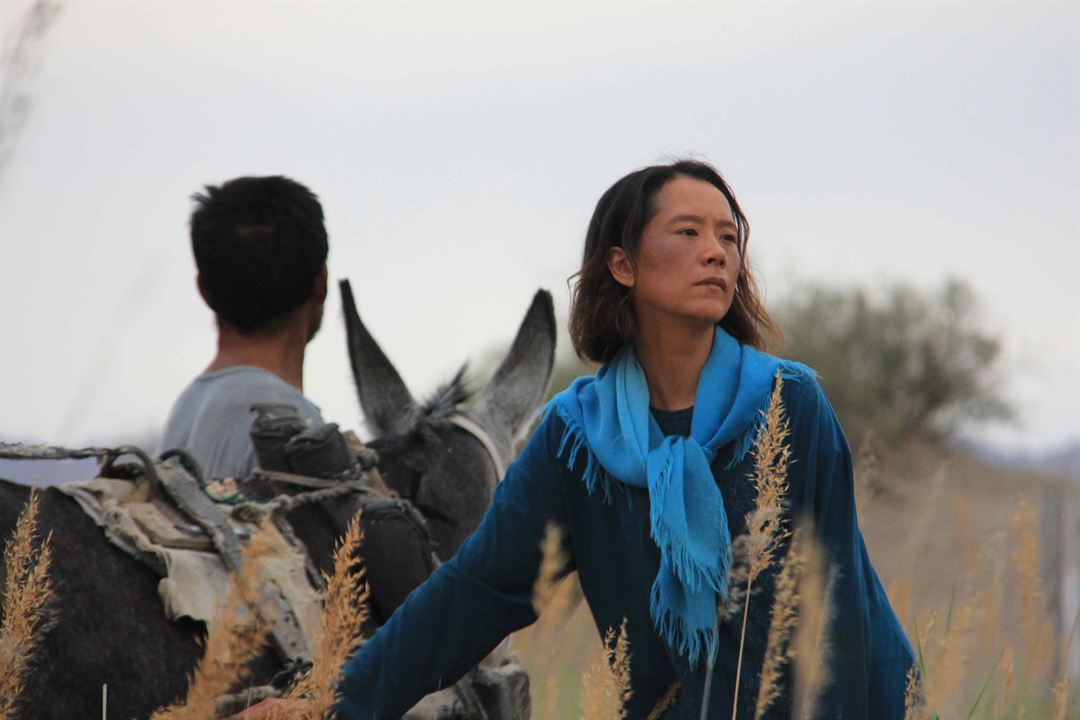 El regreso de las golondrinas : Foto Wu Renlin, Hai-Qing