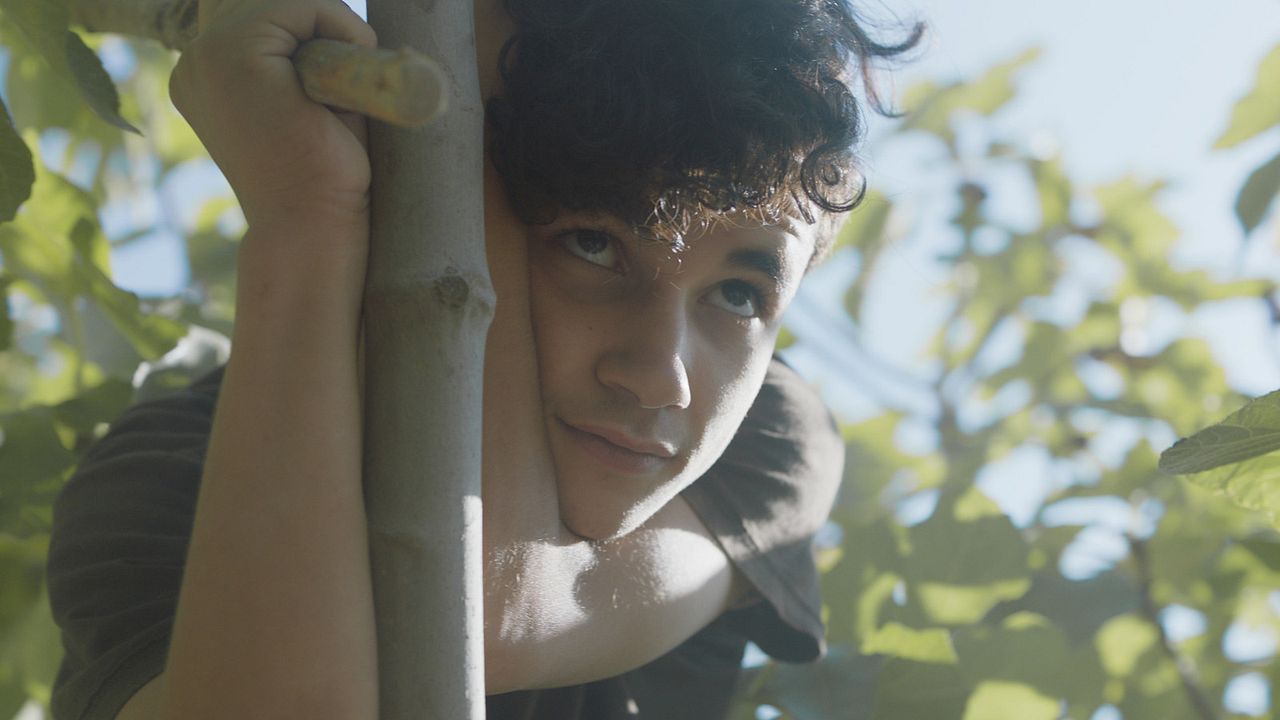 Entre las higueras : Foto